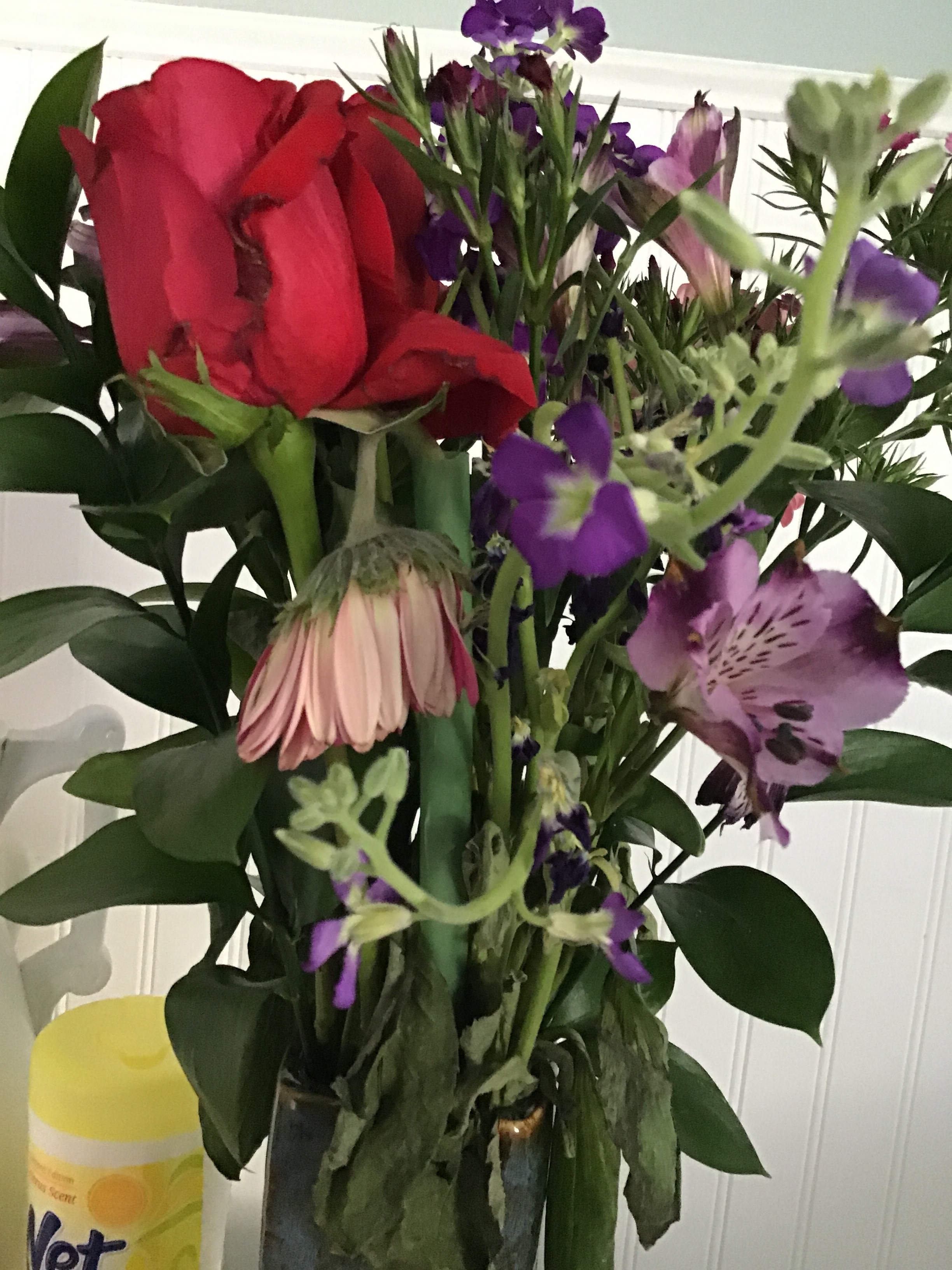 ProFlowers Reviews 455 Reviews of Sitejabber