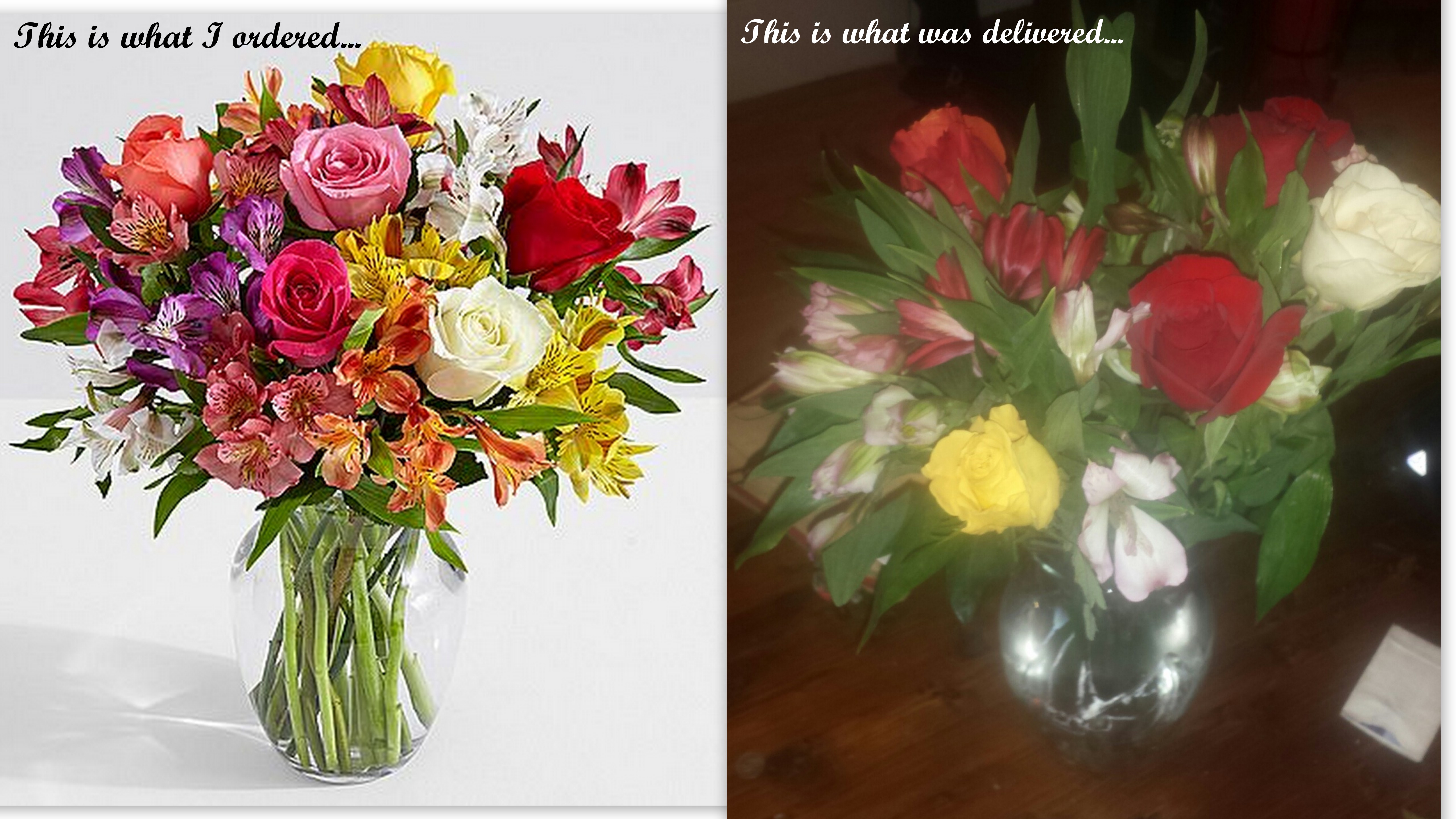 ProFlowers Reviews 399 Reviews of Sitejabber