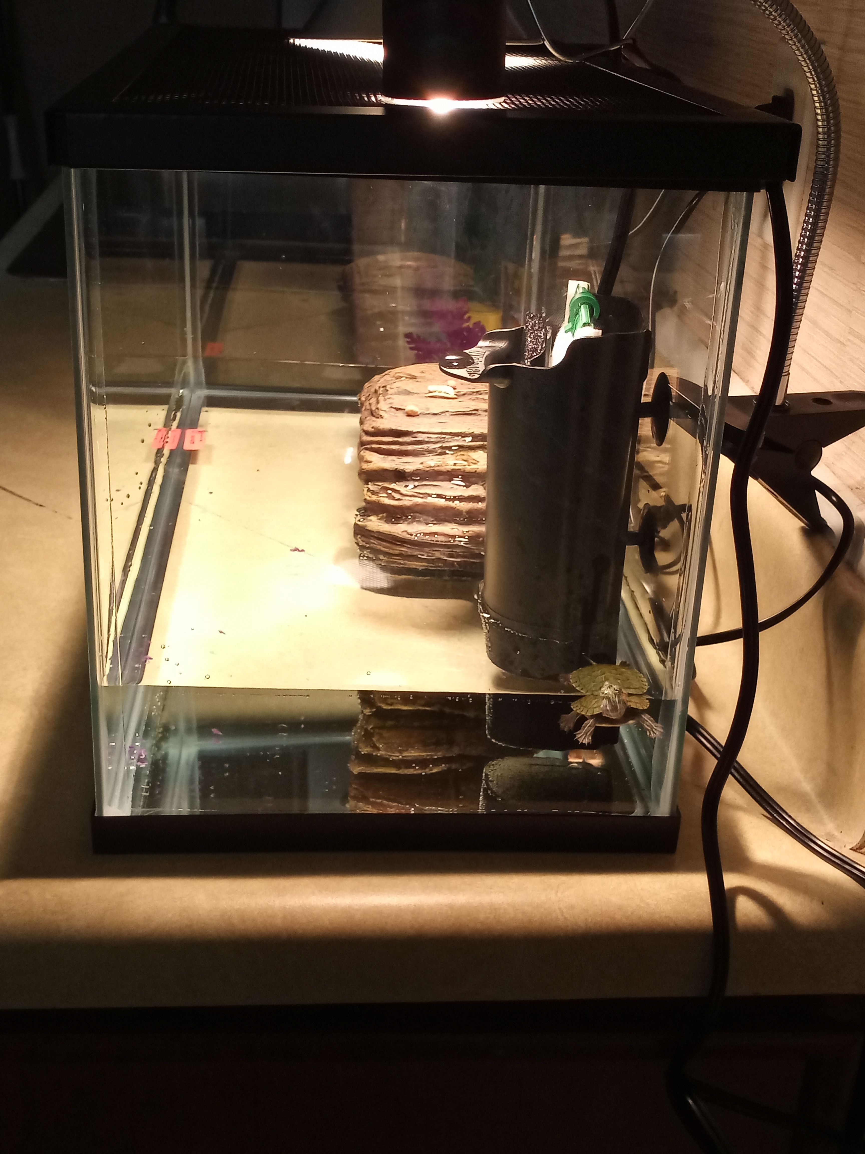 Underground Reptiles Reviews 209 Reviews of