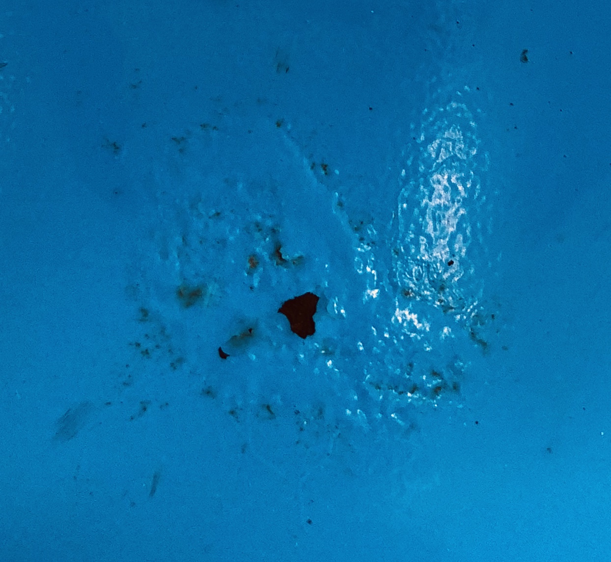 Houzz Reviews 793 Reviews of Sitejabber