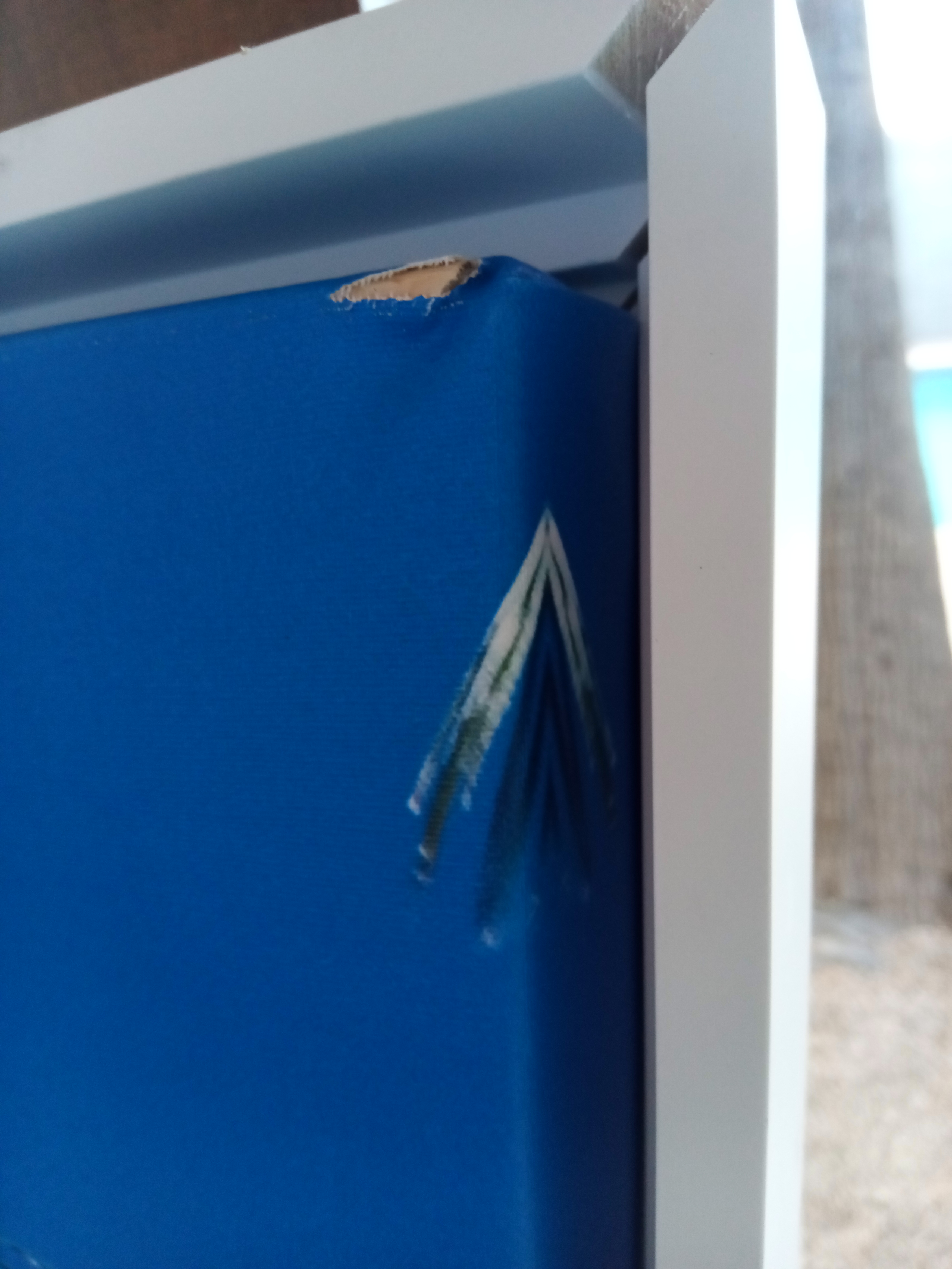 iCanvas Reviews 38 Reviews of Sitejabber