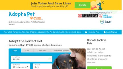 Adopt A Pet