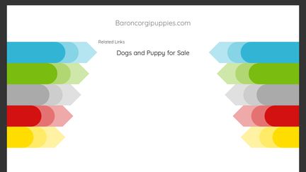 BaronCorgiPuppies