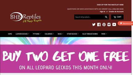 BHBReptiles