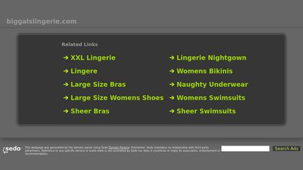 BigGalsLingerie