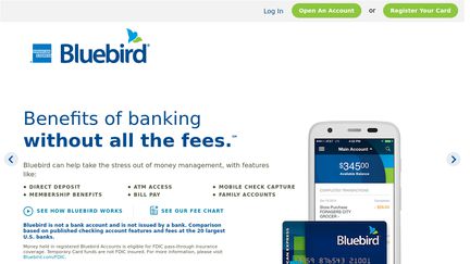 Bluebird Global