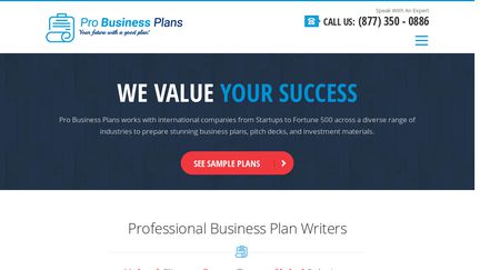 Pro Business Plans