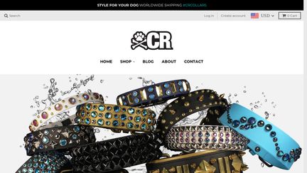 CrazyRebels