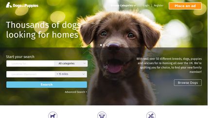 DogsAndPuppies