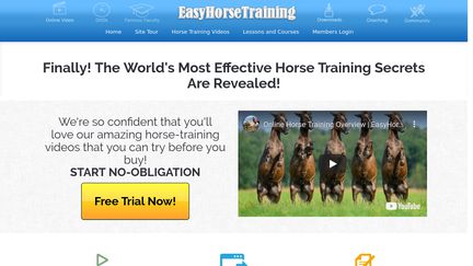 EasyHorseTraining