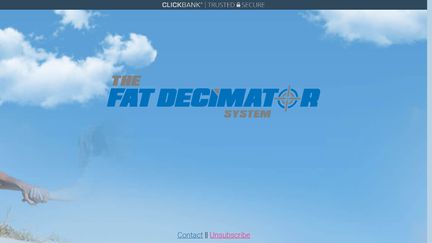 The Fat Decimator System