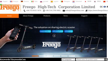FreegoChina Scooters