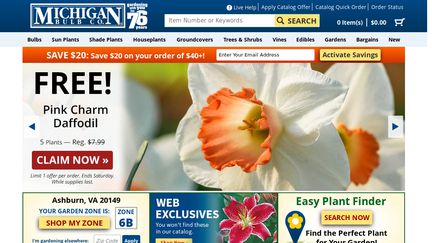 MichiganBulb