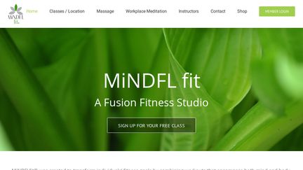 MiNDFLFit