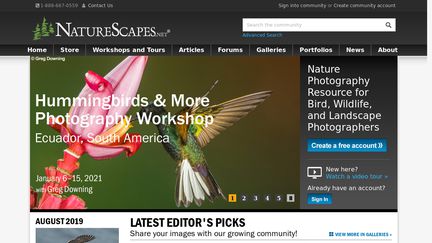 NatureScapes