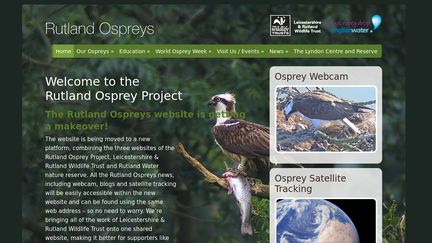 Rutland Ospreys