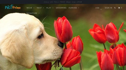 PawPrime