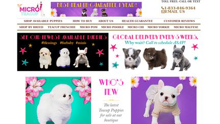 PoshPocketPups