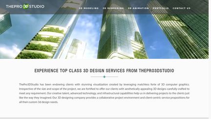 ThePro3DStudio