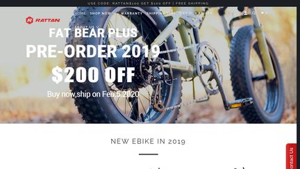 Rattan Ebike