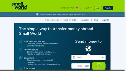 Small World Financial Services Group