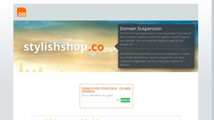 StylishShop