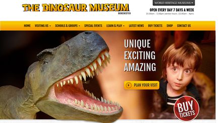 The Dinosaur Museum