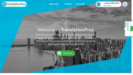 TranslationProz.net