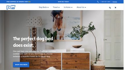 Treat A Dog