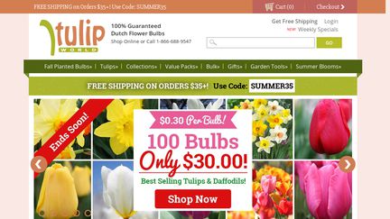TulipWorld