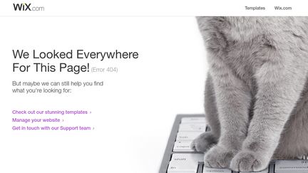 Uadreamsscamscams.wix.com