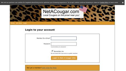 Usa.netacougar.com