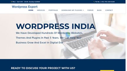 Wordpress Expert
